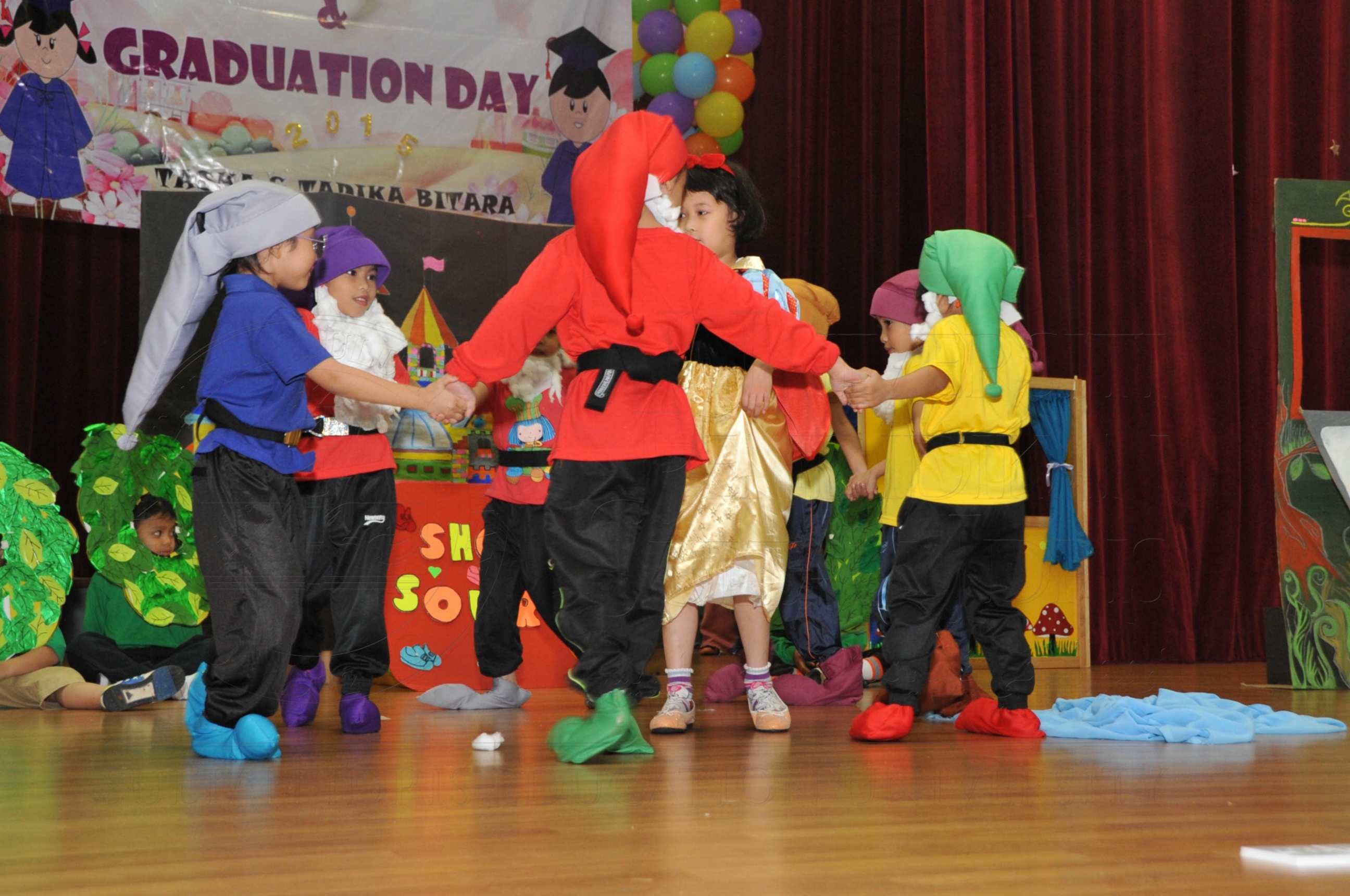 PRO15 163 KONVO HAS 0804